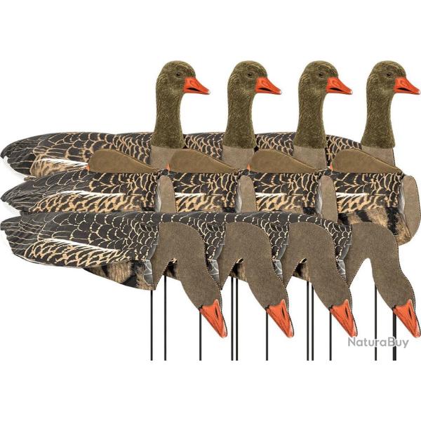 Formes d'oie cendr�e Sillosock Harvester Pack x12