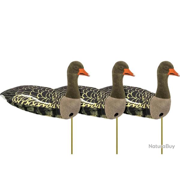 Formes d'oie cendr�e 3D Sillosock actives x3