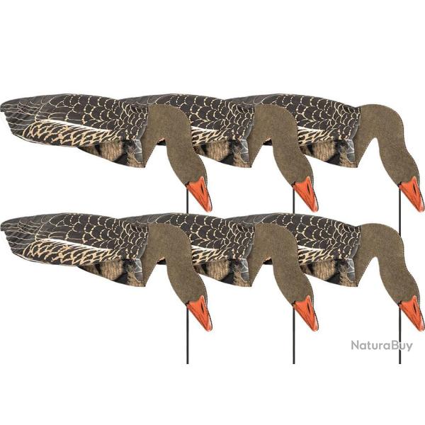 Formes d'oie cendr�e Sillosock mangeuses x6