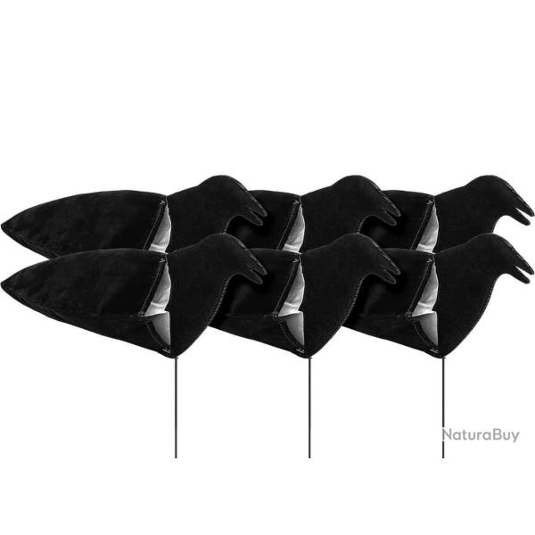 Formes de corbeaux Sillosock actifs x6