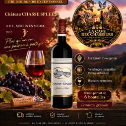 Ch&acirc;teau Chasse Spleen 2015 1 caisse de 6 bouteilles AOC Moulis