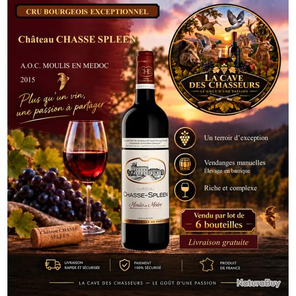 Ch�teau Chasse Spleen 2015 1 caisse de 6 bouteilles AOC Moulis