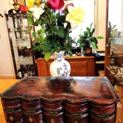 MAGNIFIQUE COFFRET A  COMPARTIMENTS MULTIPLES POUR POSITIONNER PETITS REVOLVERS OU PIECES RECHANGE