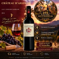 Ch&acirc;teau D'Aiguilhe 2014 1 caisse de 12 bouteilles de 75cl AOC C&ocirc;tes de Castillon