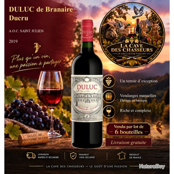 Duluc de Branaire Ducru 2019 1 caisse de 6 bouteilles de 75cl AOC Saint Julien