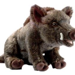Anima - Peluche Sanglier