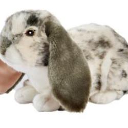 Anima - Peluche Lapin Gris 30cm