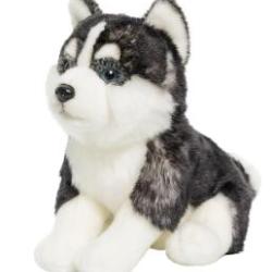 Anima - Peluche Pomsky
