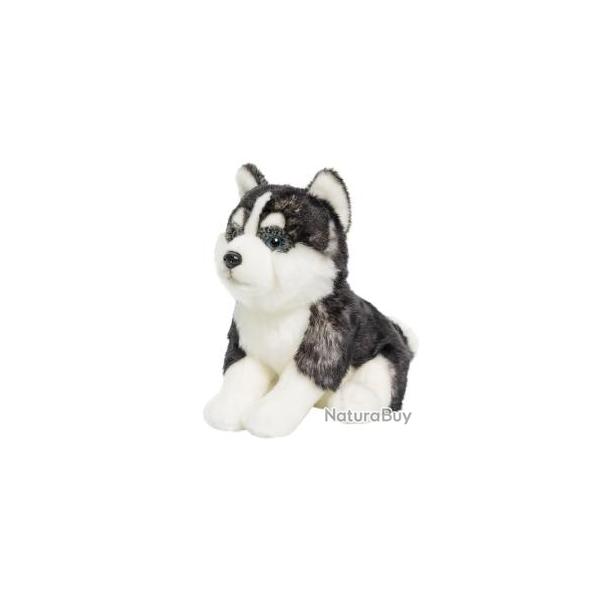 Anima - Peluche Pomsky