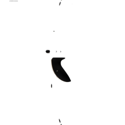 Poign&eacute;e Quantum AX 23" - WNS - Droitier / Black