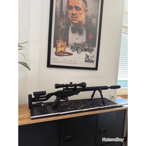 Carabine ruger rimefire 22lr