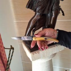 Magnifique couteau Nogentais &agrave; palme