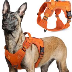 Harnais Tactique Chien Orange R&eacute;fl&eacute;chissant MOLLE - Poign&eacute;e Renforc&eacute;e - Anti-Traction Chasse Outdoor