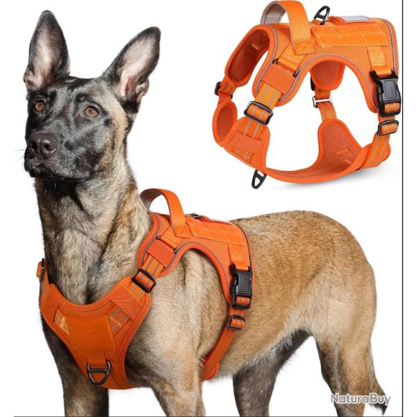 Harnais Tactique Chien Orange R�fl�chissant MOLLE - Poign�e Renforc�e - Anti-Traction Chasse Outdoor