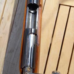 Carabine 12mm Manu Arm monocoup