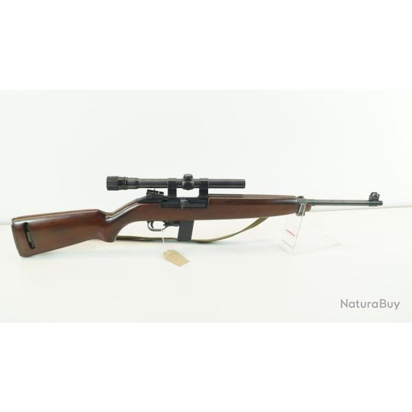 carabine erma em1 usm1 22lr avec lunette