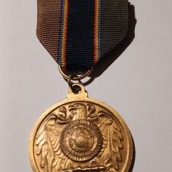 Medal american Legion (2)
