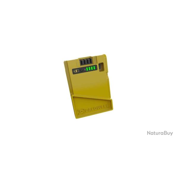 BATTERIE CLAYCOPTER CALDWELL 1223618