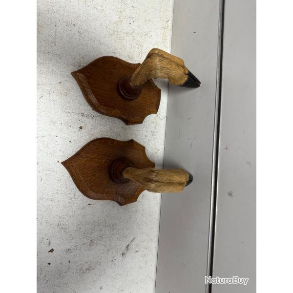 r�telier pied de biche