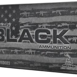 BOITE DE 20 CARTOUCHES HORNADY 300 BLACKOUT 110 GR NTX&reg; BLACK(TM) 80862