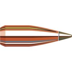 BOITE DE 100 OGIVES HORNADY 17 .172 15.5 GR NTX 17016