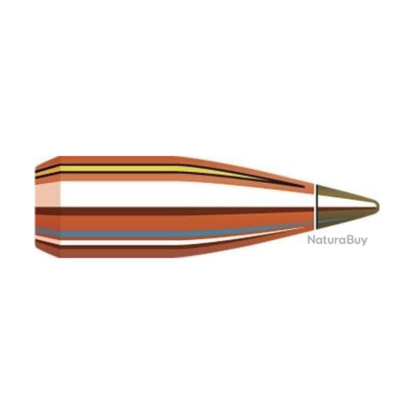 BOITE DE 100 OGIVES HORNADY 17 .172 15.5 GR NTX 17016