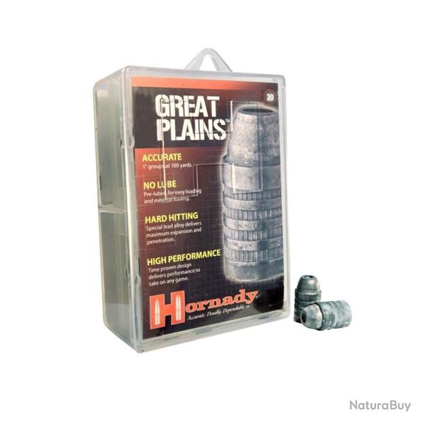 BOITE DE 20 OGIVES HORNADY 50 CAL 385GR HB-HP 6620