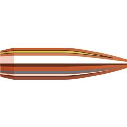 BOITE DE 100 OGIVES HORNADY 6MM .243 87GR BTHP 2442