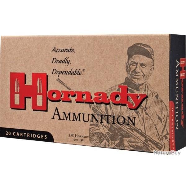 BOITE DE 20 CARTOUCHES HORNADY 300 BLACKOUT 110GR CX 808794