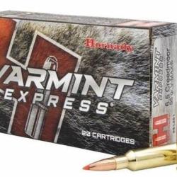 BOITE DE 20 CARTOUCHES HORNADY 6.5 CREEDMOOR 95GR V-MAX&reg; 81481