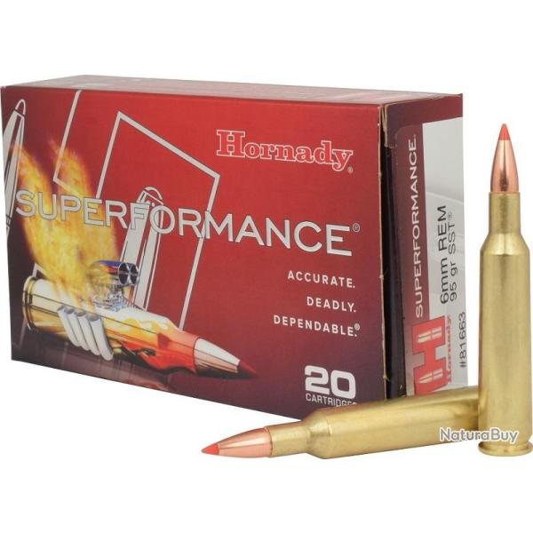 BOITE DE 20 CARTOUCHES HORNADY 6MM REM 95 GR SPF 81663