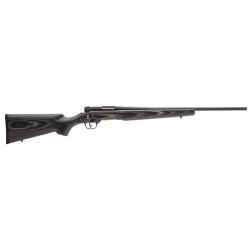 CARABINE SAVAGE B.MAG SPORTER CAL.17SWM 22&acute;&acute; LAMELLEE COLLEE 96971+