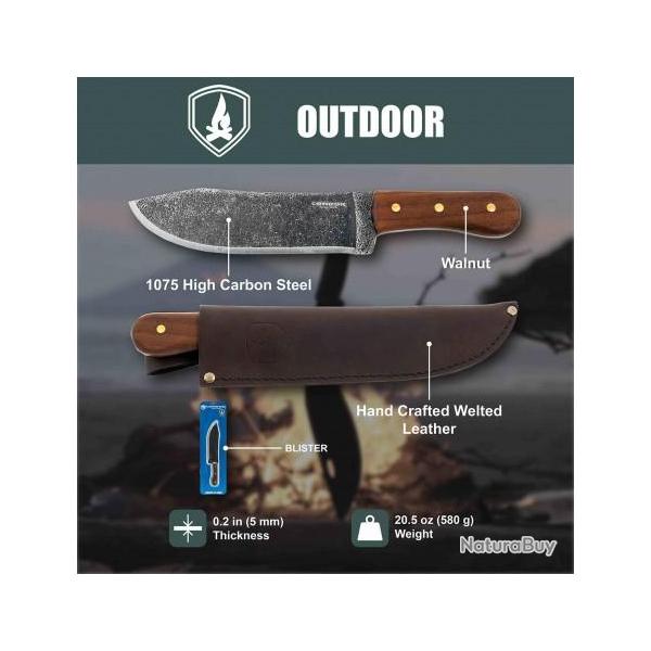 Couteau Condor Hudson Bay Lame Acier Carbone 1075 Manche Noyer �tui Cuir Fabriqu� au CTK24085HC