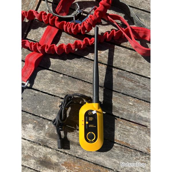T�l�commande r�cepteur collier gps dogtra Pathfinder 2