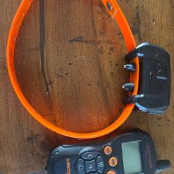Collier dressage Num'axes canicom 5.500