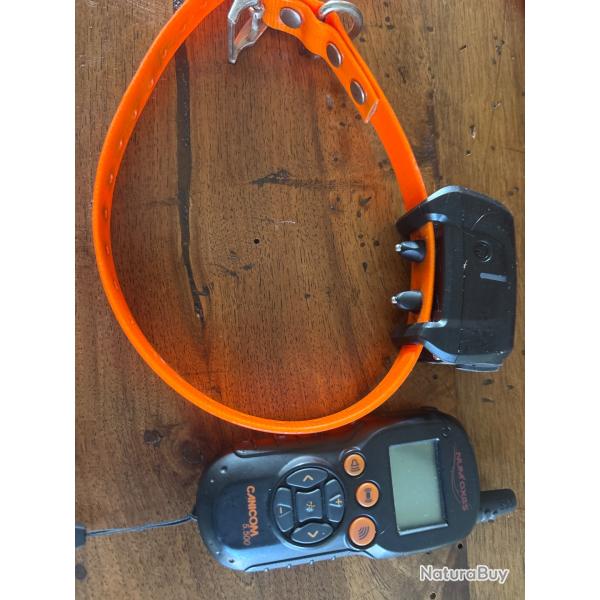Collier dressage Num'axes canicom 5.500