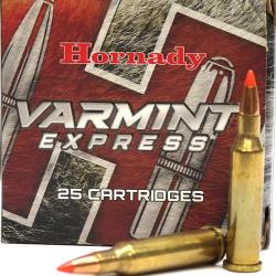 17 HORNET 20GR V-MAX HORNADY