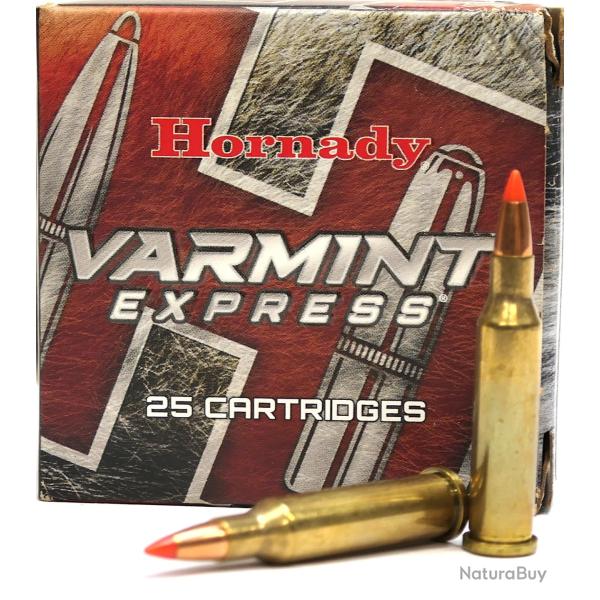 17 HORNET 20GR V-MAX HORNADY