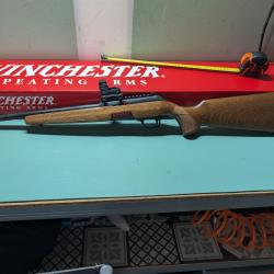 WINCHESTER Wildcat Field Threaded Cal 22lr 42cm