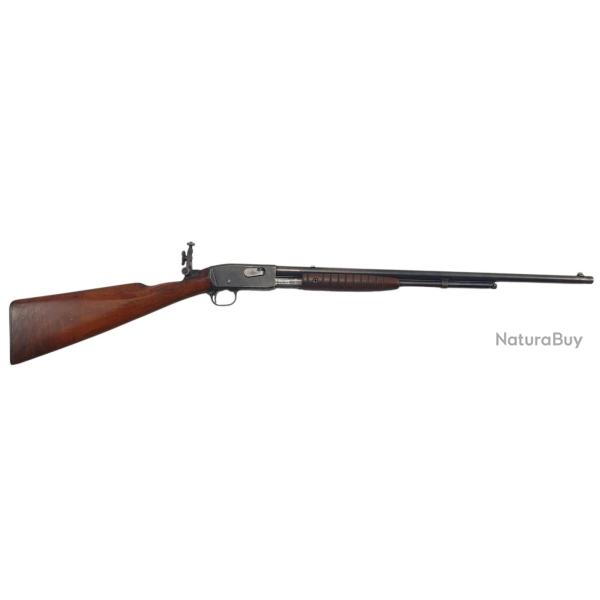 OCCASION - RARE ET BELLE CARABINE A POMPE REMINGTON 12 DAT�E 1915- 22LR + DIOPTRE BSA