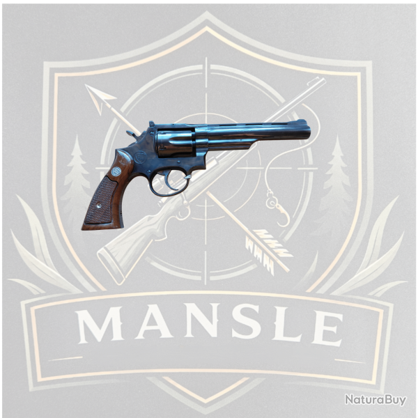 Franchi / Llama .22 LR - Canon 6 pouces?Occasion?