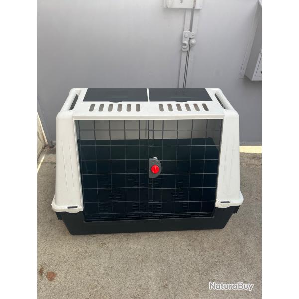 1 Cage de transport L pour chien moyen  ferplast atlas car 80 occasion