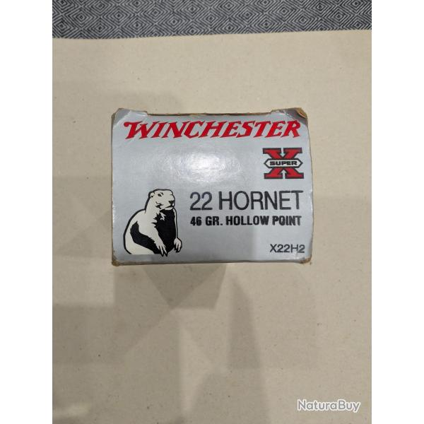 Winchester 22 Hornet