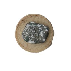 monnaie argent n&eacute;gro&iuml;de