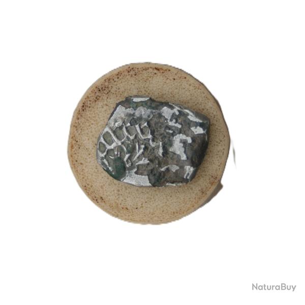 monnaie argent n�gro�de