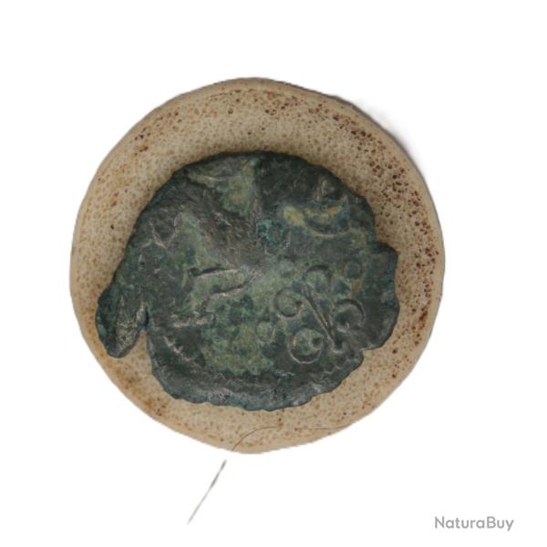 monnaie bronze Arverne