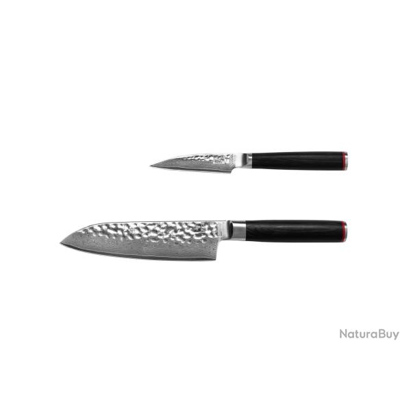 Starter 2-Piece Knife Set - Pakka Damascus Collection