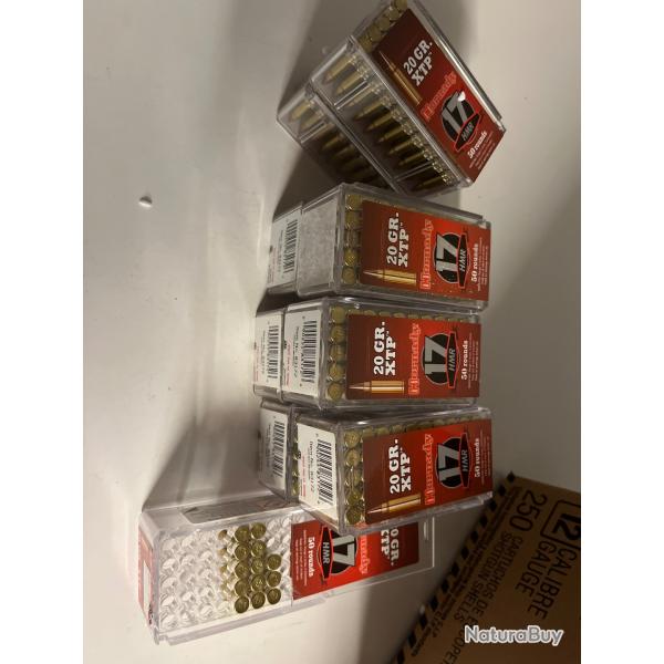 413 cartouches calibre 17HMR de marque Hornady 20gr XTP