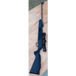 Carabine plombs Sportsman RS2