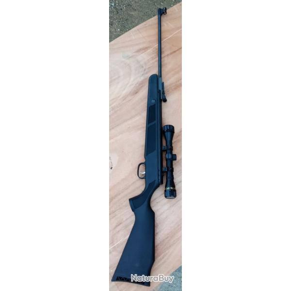 Carabine plombs Sportsman RS2